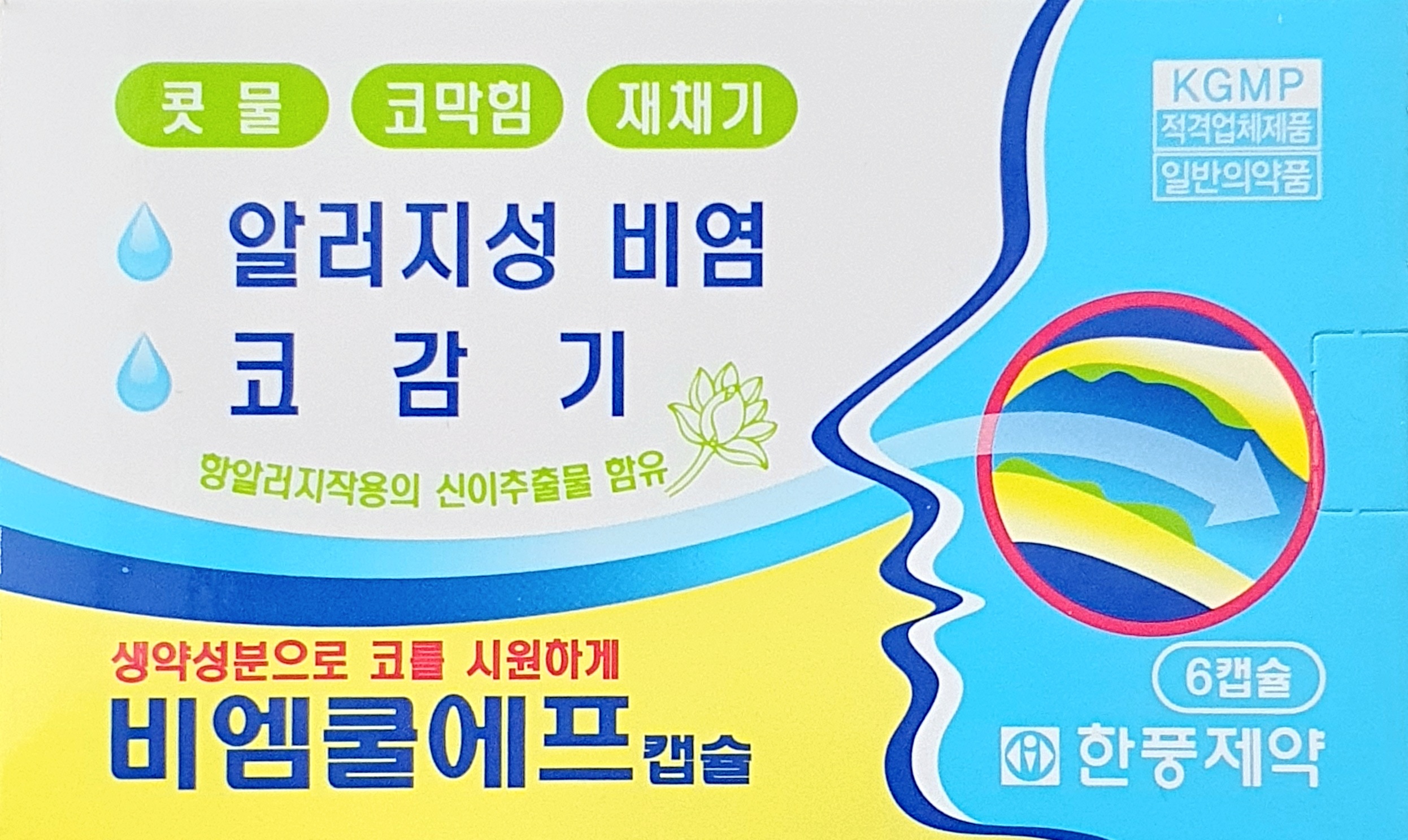 비엠쿨에프캡슐