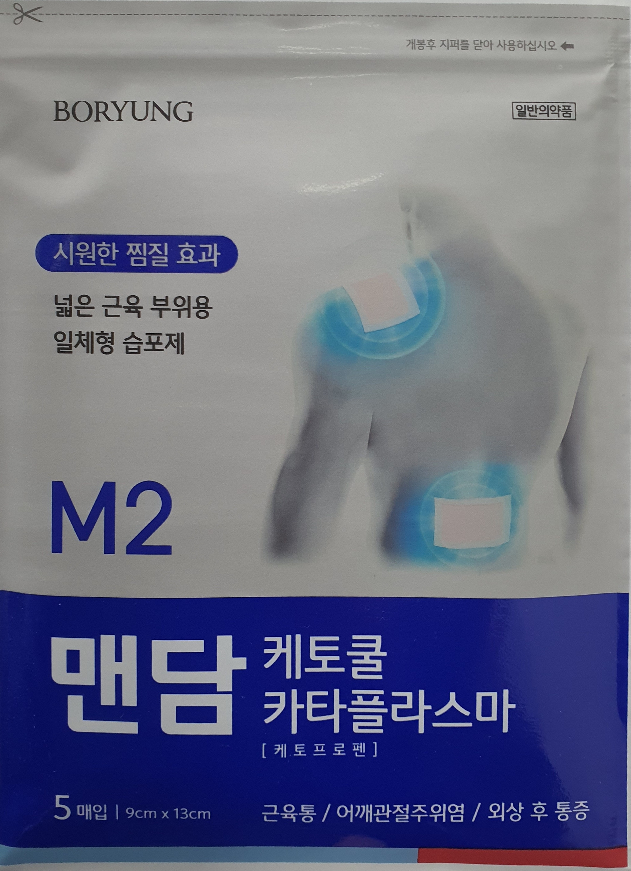 맨담케토쿨카타플라스마