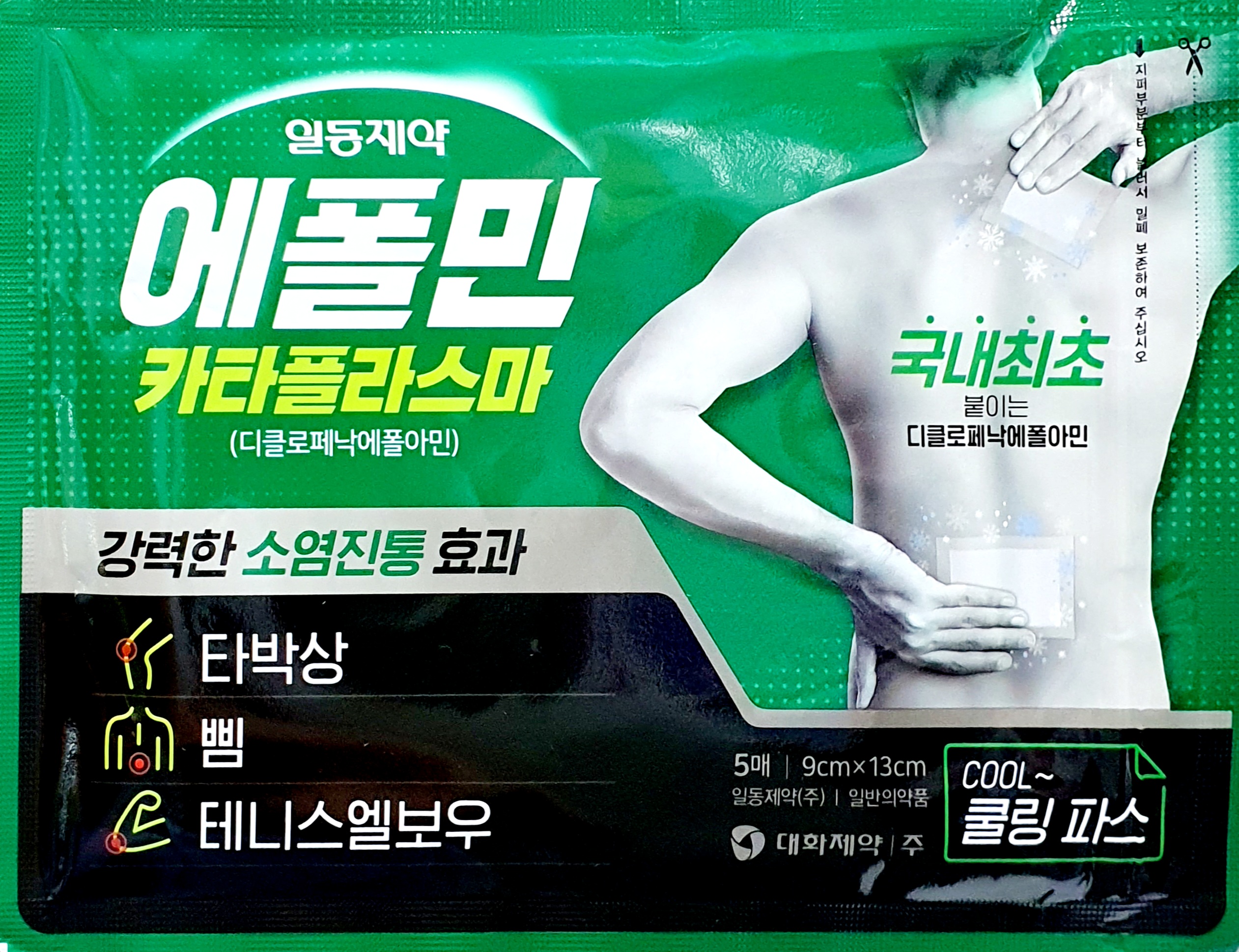 에폴민카타플라스마